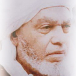 محمد الحافظ