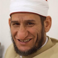محمود الشيمي