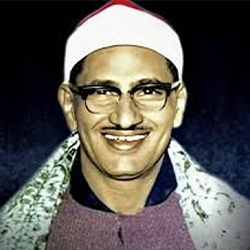 محمد صديق المنشاوي