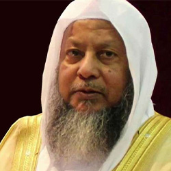 محمد أيوب