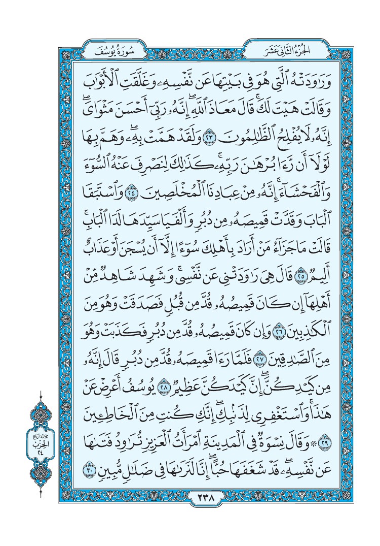 تفسير سورة يوسف الصفحة 238 من القرآن الكريم