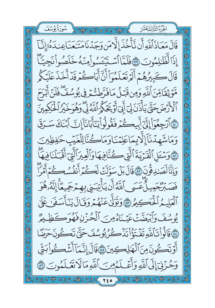 تفسير سورة يوسف الصفحة 245 من القرآن الكريم